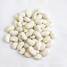 Wholesale Chinese 2020 crop origin in Yunnan Large white kidney beans